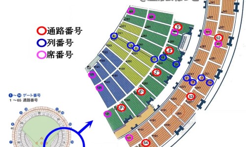 长鱼汤的做法和功效-汤的做法和功效网- 花鱼汤的做法和功效知识,分享木瓜花生猪骨汤的做法和功效